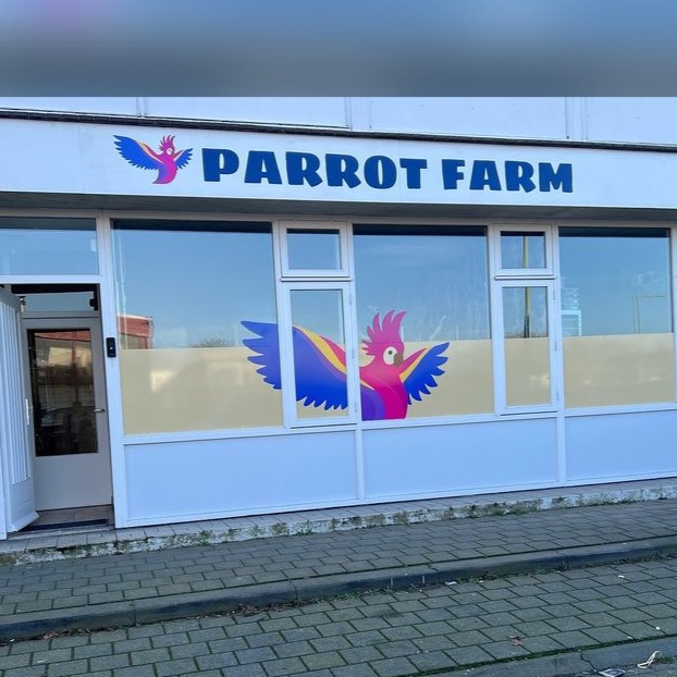 Parrot Farm