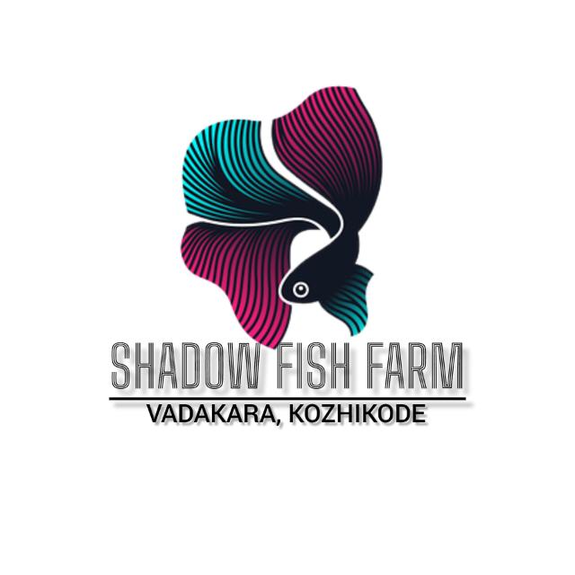 Shadow Fish Farm (07)