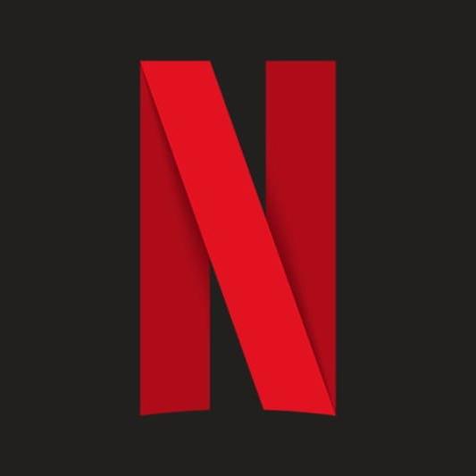 Netflix Life Time Sall Rs300